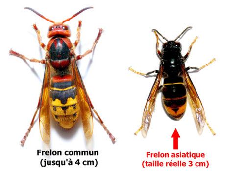 189db2909d4ea5db544941ac88e7986c